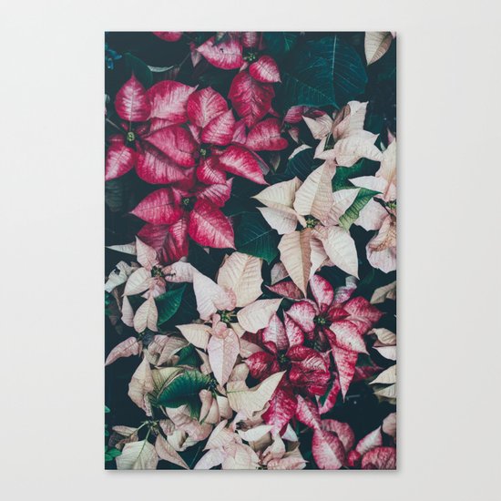 Botanical Beauty Canvas Print