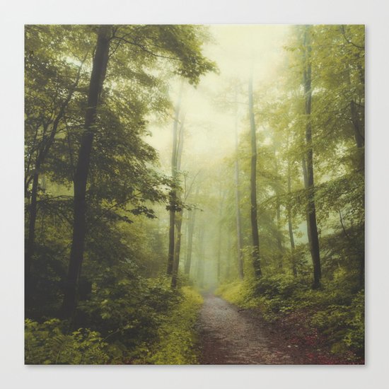 Long Forest Walk Canvas Print