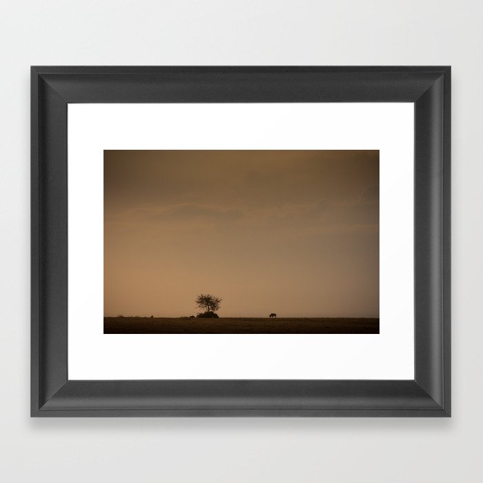 Lone wildebeest grazing in South Africa at sunset Framed Art Print