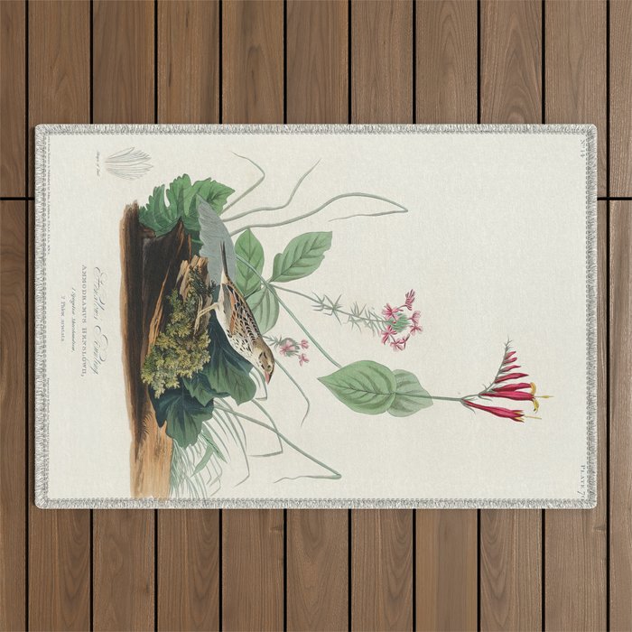 Henslow's Bunting from Birds of America (1827) by John James Audubon  Outdoor Rug