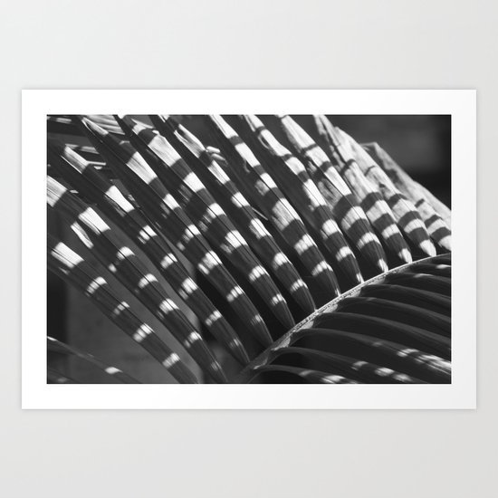 Palm - leave shadow Art Print