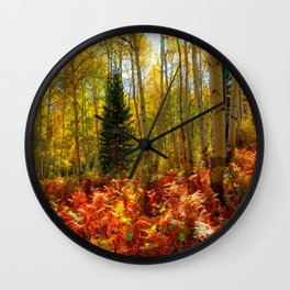 Crested Butte Autumn Aspen Trees Red Ferns  Wall Clock | Coloradonature, Autumnforests, Treesaspens, Scenicphotography, Fallcolors, Autumn, Westernbirch, Winter, Whitetrees, Seasons 