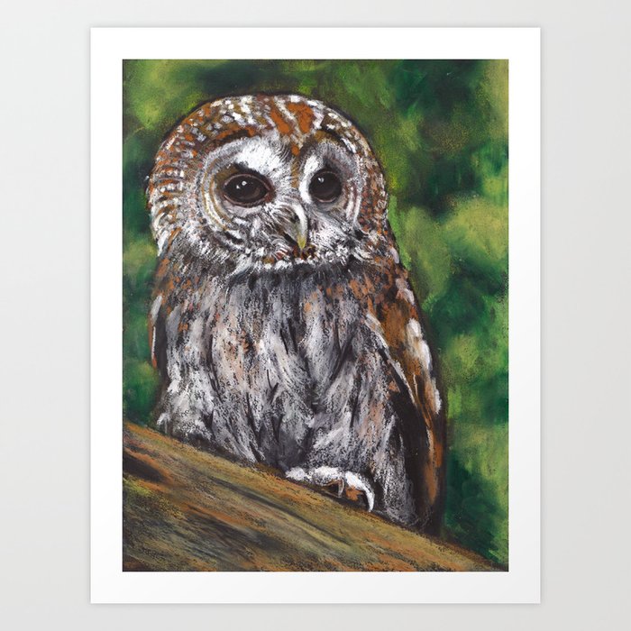 owl art oil