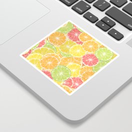 Citrus slices Sticker