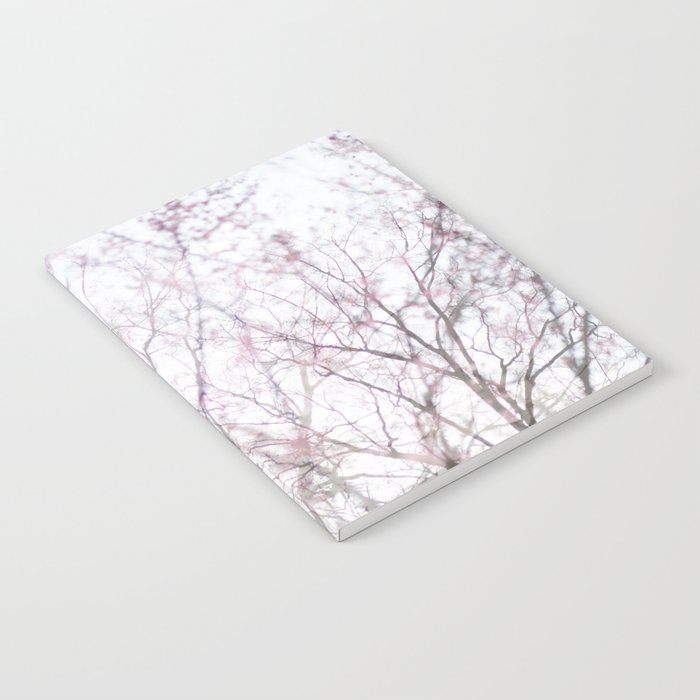 Tree Blossom | Spring time in New York City Notebook