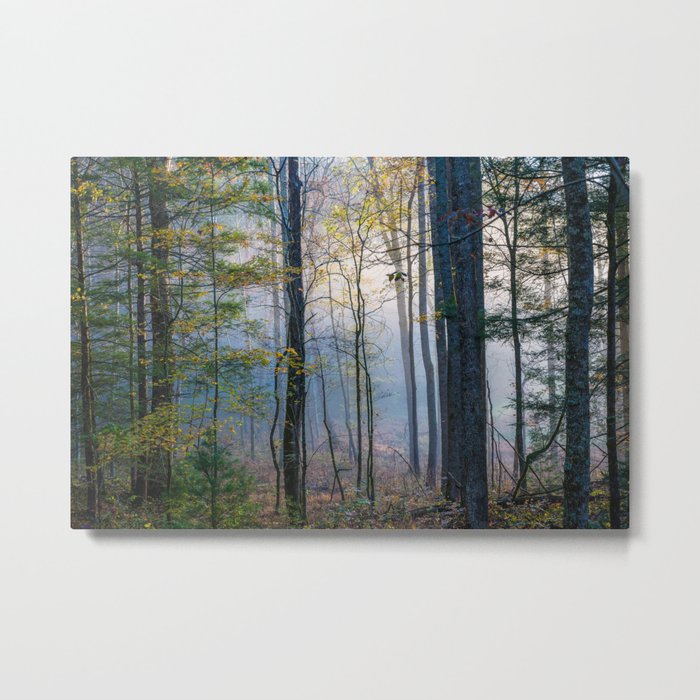 Mystic Forest - Forest Shrouded in Fog on Autumn Morning in Great Smoky Mountains Tennessee Metal Print