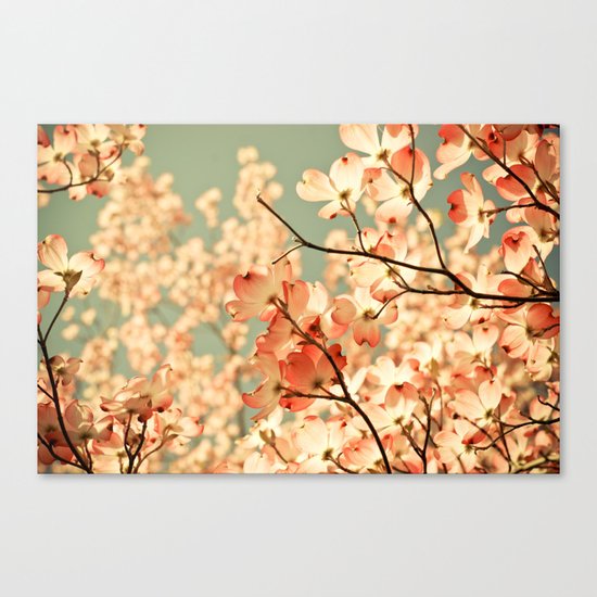 Pink Canvas Print