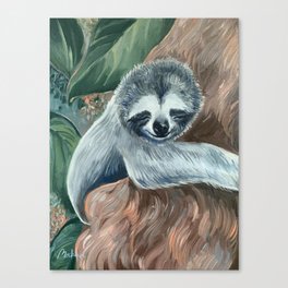 Baby Sloth Canvas Print