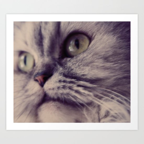 Cat Face Art Print