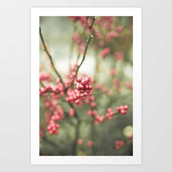 Nature's Candy Art Print