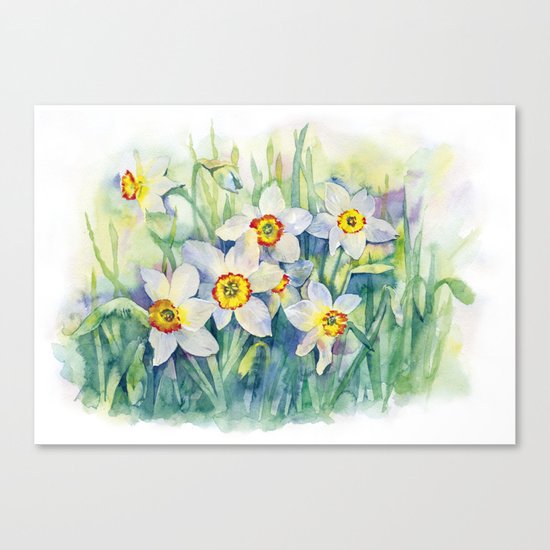 Daffodils watercolor illustration Canvas Print