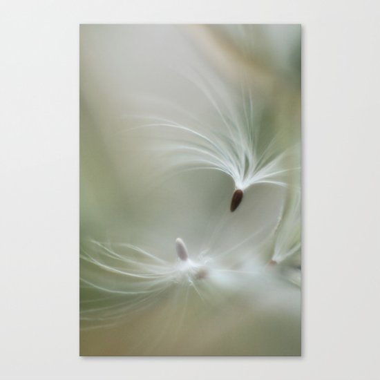 Wispy Canvas Print