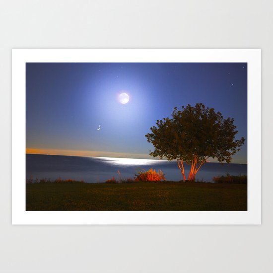 moonlight Art Print