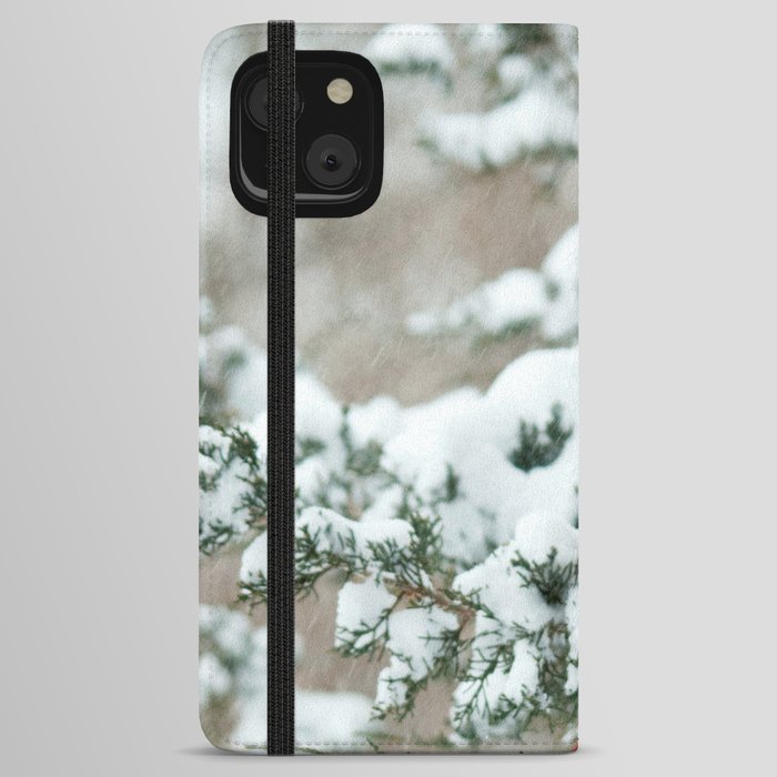 After the Snow Storm: Three Cardinals iPhone Wallet Case