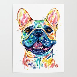 French Bulldog Watercolor Painting By Lisa Whitehouse Poster