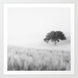 A Mist Story - Black and White Photography, Minimalist Landscape Art Print