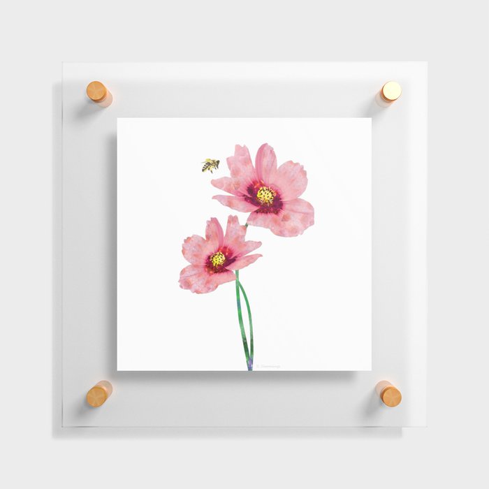 Pink Cosmos Flowers Honey Bee Art - Sweet Nectar Floating Acrylic Print