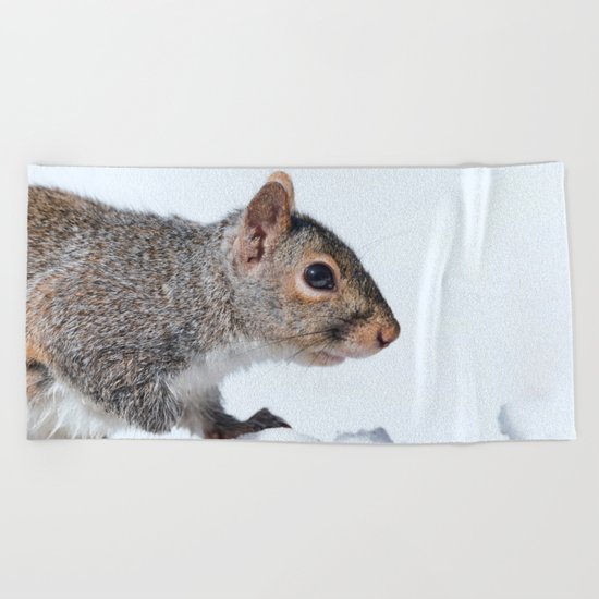 Snow Squirrel Beach Towel