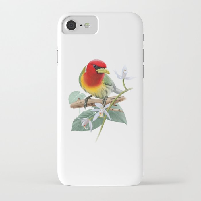 Tropical bird red-headed barbet iPhone Case