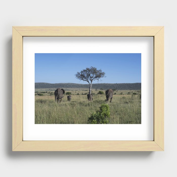 Elephant family Recessed Framed Print