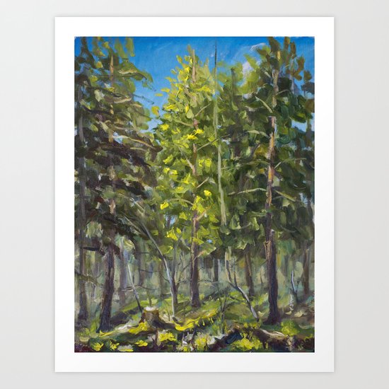 Sunny Landscape In A Spring Forest Oil Painting On Canvas Artist