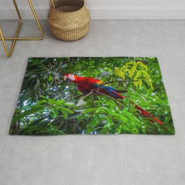 Scarlet Macaw In Costa Rica Forest Area & Throw Rug