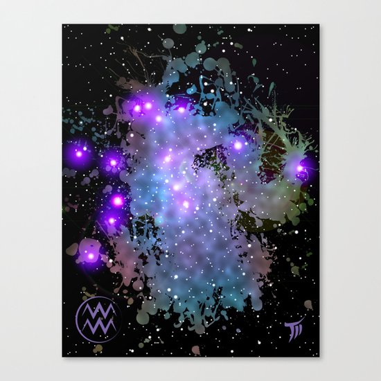 The Zodiac Sign -- Aquarius Canvas Print