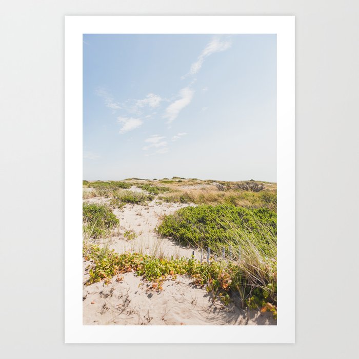 Cape Cod Dunes by the Beach - Travel Photography Art Print