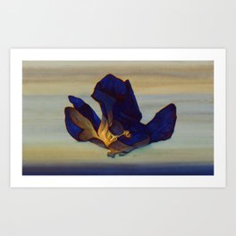 Blue flower loves summer night Art Print