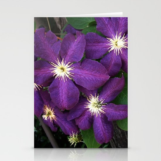 Purple Clematis Stationery Cards