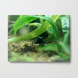 Poison (in Blue) Metal Print