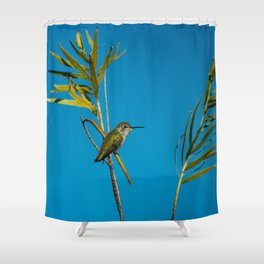 Christmas Visitor - 2017 Shower Curtain