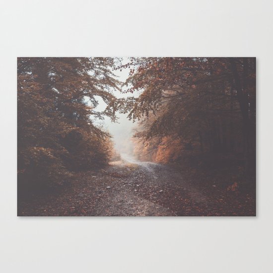 Follow it Canvas Print