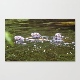 Otter Family Canvas Print