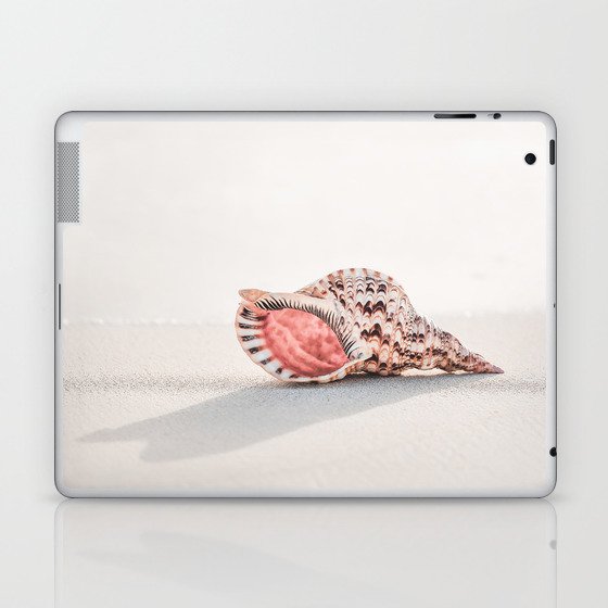 Beach Ocean Shell Laptop & iPad Skin