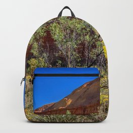 Palo Duro Canyon Backpack