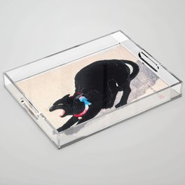 Black Cat Hissing Acrylic Tray