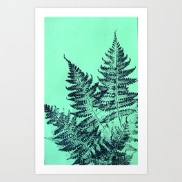 fern print Art Print