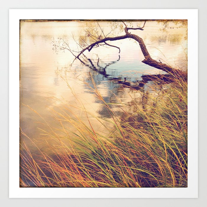 Autumn lake grasses Art Print