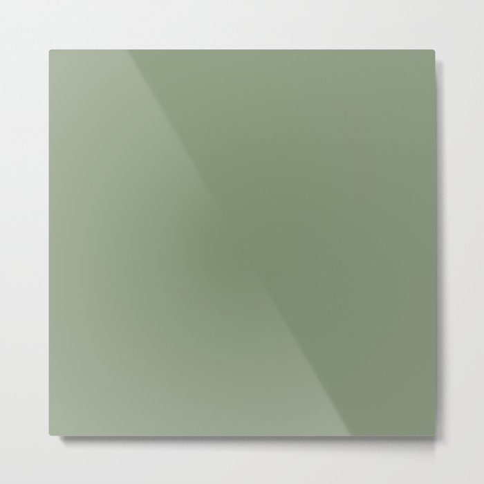 PLAIN DUSTY GREEN. Laurel Tree solid color Metal Print