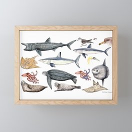 Marine wildlife Framed Mini Art Print