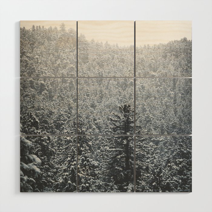 Snowy forest hill Wood Wall Art