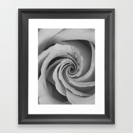 Black and White Rose Framed Art Print