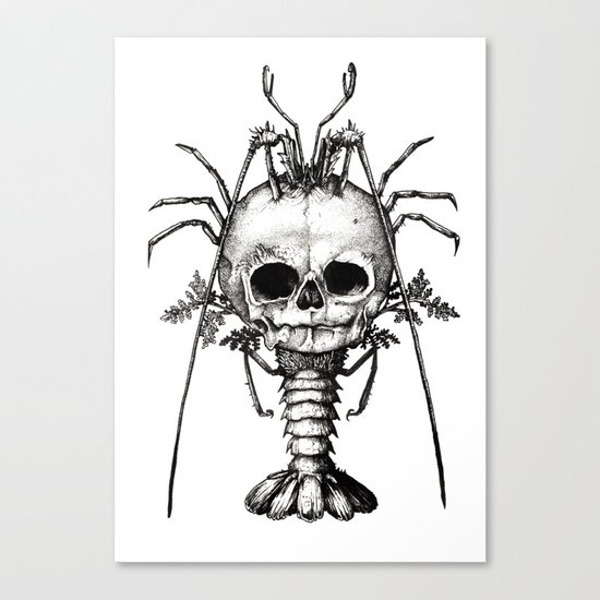 Curiosities - The Fontanelle. Canvas Print