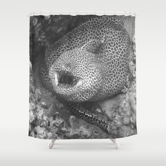 Coiled fat eel Shower Curtain