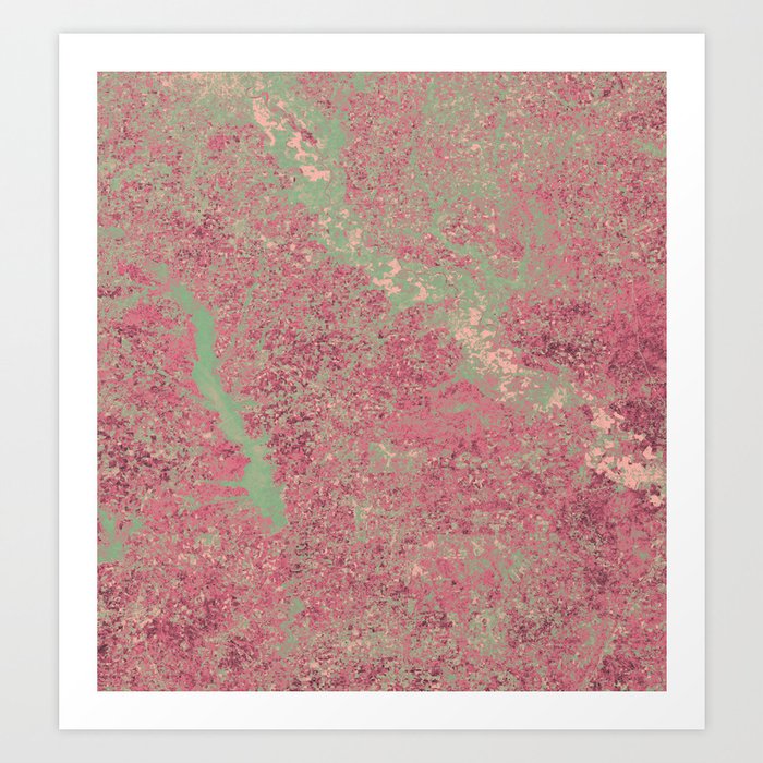 Raspberry Landscape Art Print