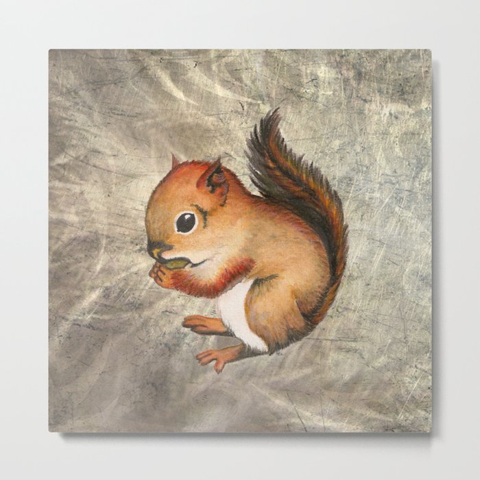 Sciurus (Baby Squirrel) Metal Print