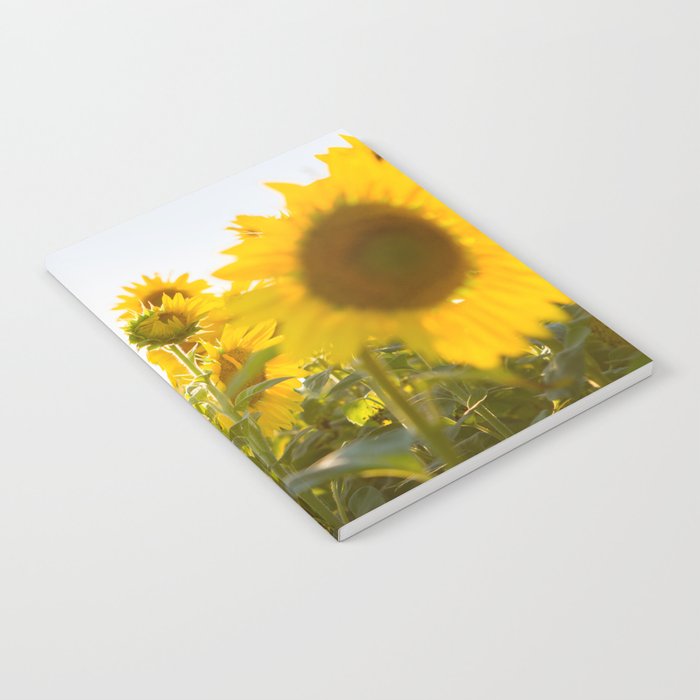Sunflower Field Notebook By Inthisinstance Society6