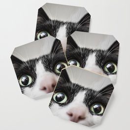 Funny Cat Coaster
