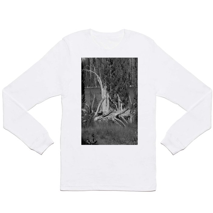 road trip, wood pile, snag by the lake Long Sleeve T Shirt